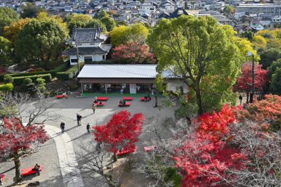 犬山城下町と木曽川周辺観光 | 観光タクシー