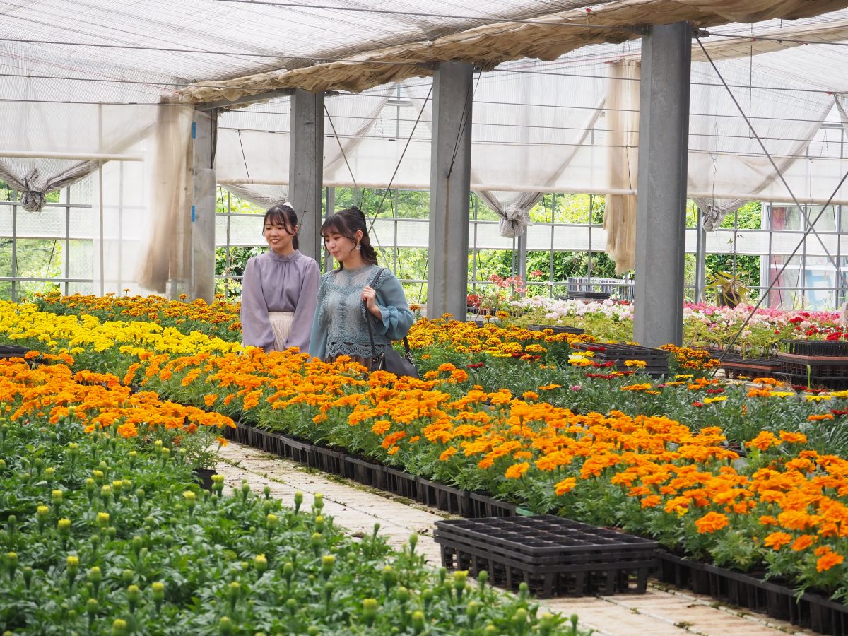 モネの池と板取川（鮎料理） | 観光タクシー