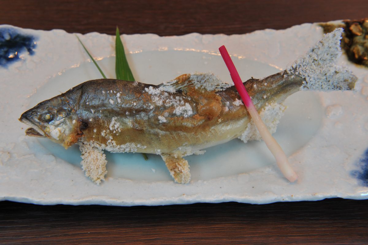 モネの池と板取川（鮎料理） | 観光タクシー